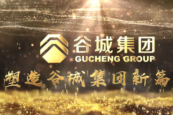 共筑新時代，不負(fù)韶華夢——谷城集團(tuán)隆重舉行2019年度榮譽(yù)表彰大會暨2020年迎春年會